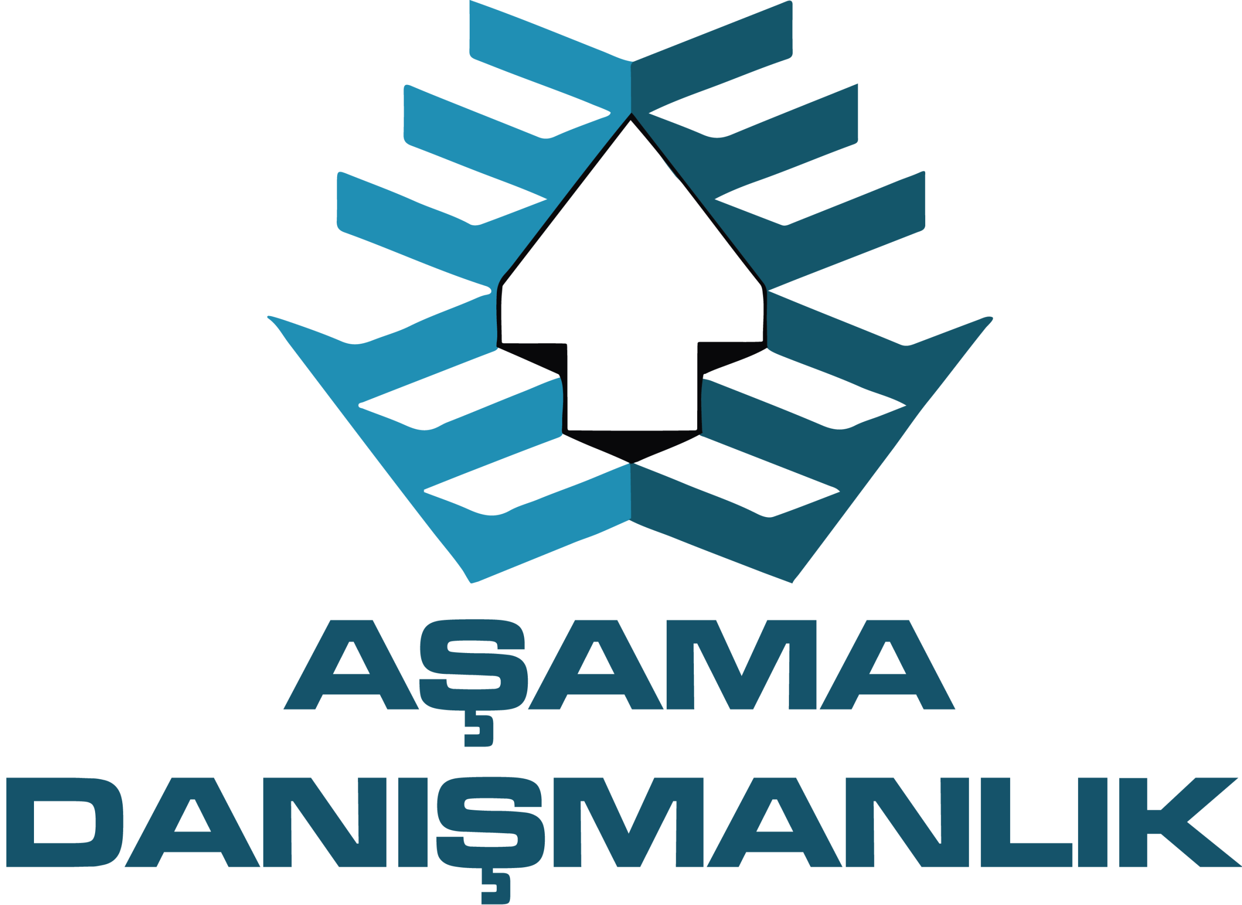aşama logo (v)